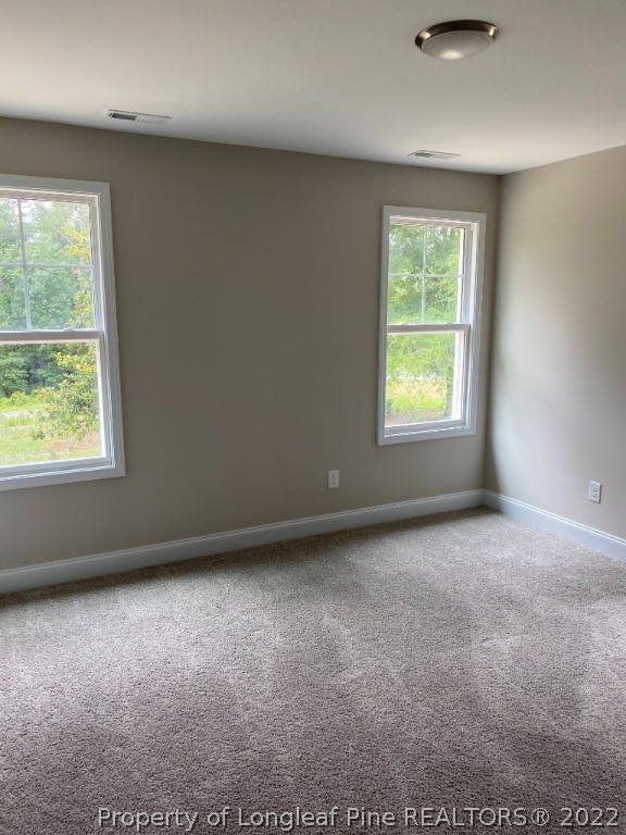 5685 Stewart Road Wade, NC 28395 - Photo 18 of 20 Gallery Image 18