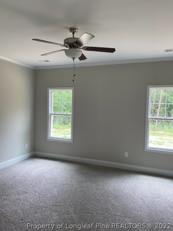 5685 Stewart Road Wade, NC 28395 - Photo 10 of 20 Gallery Image 10