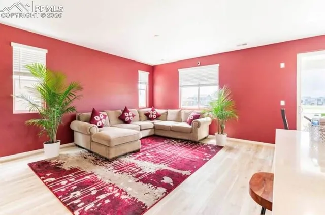 a living room with furniture and a potted plant