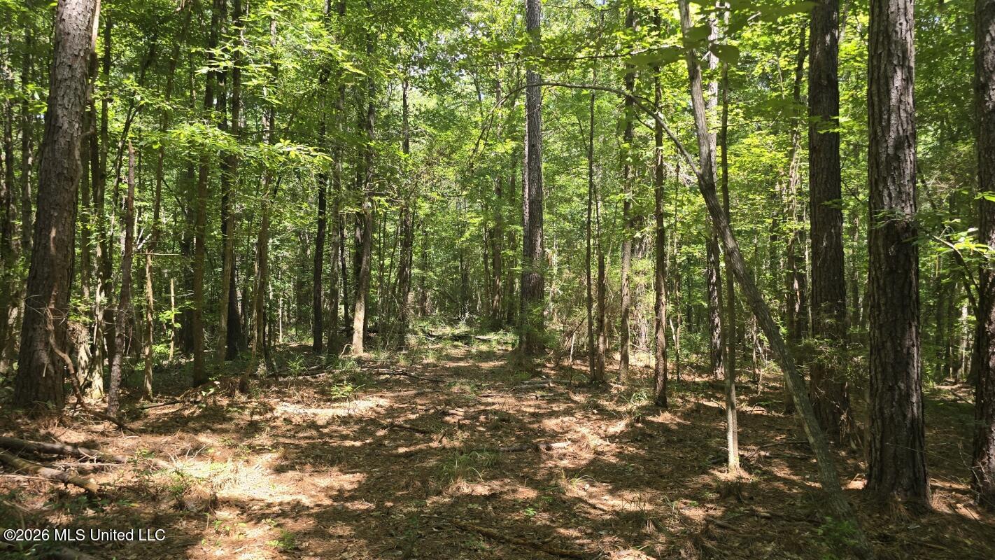 3995 Choctaw Road Brookhaven, MS 39601 - Photo 39 of 73 20260709_114343