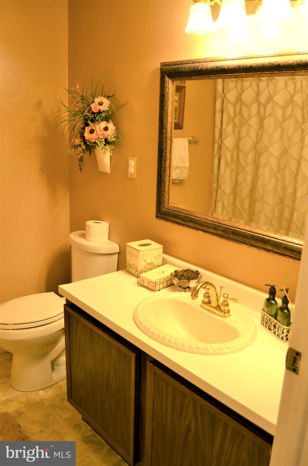 6502 Wrangell Road Bowie, MD 20720 - Photo 14 of 31 Full hall bathroom