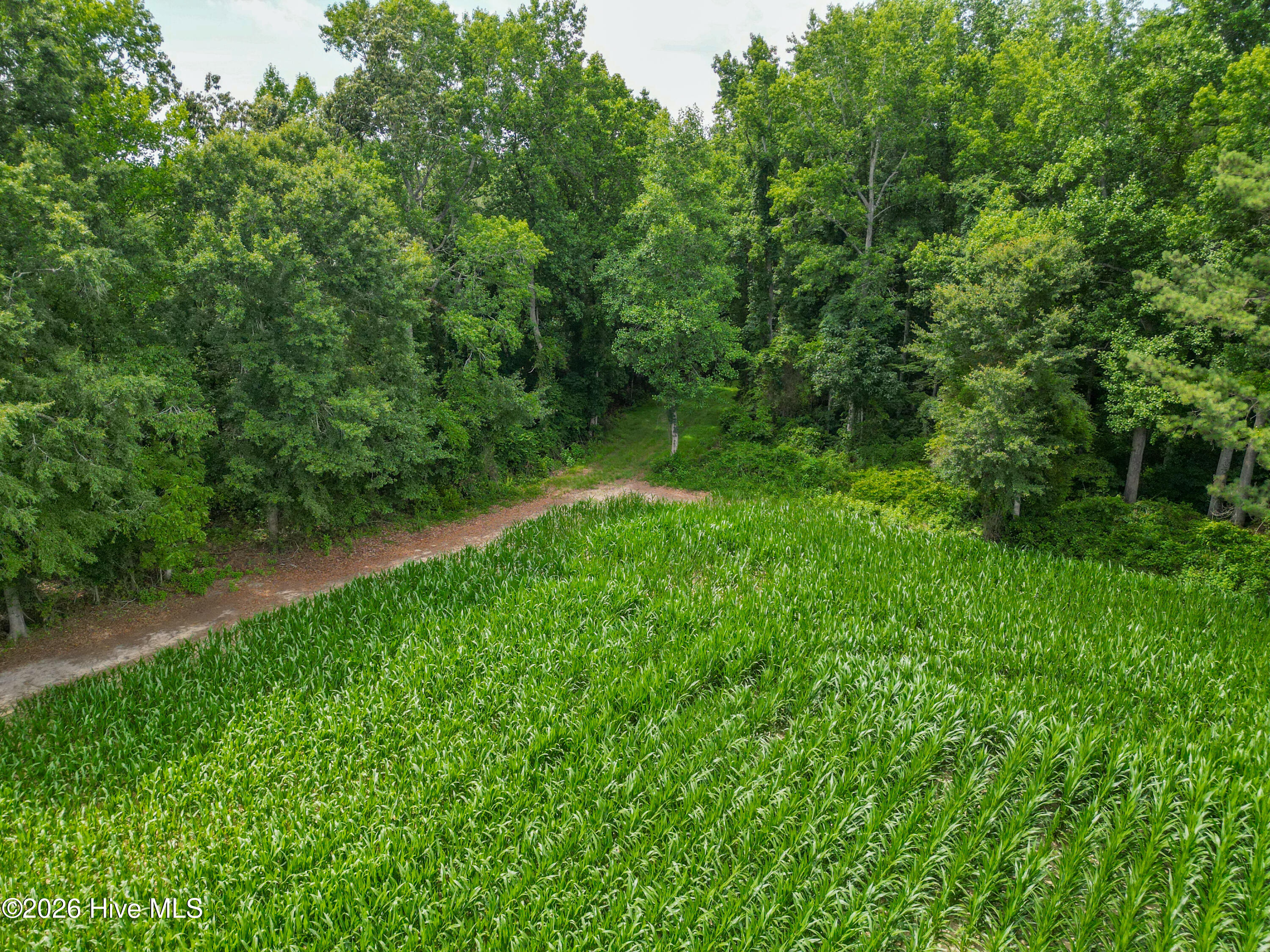 Tbd Farmers Union Road Clarkton, NC 28433 - Photo 7 of 13