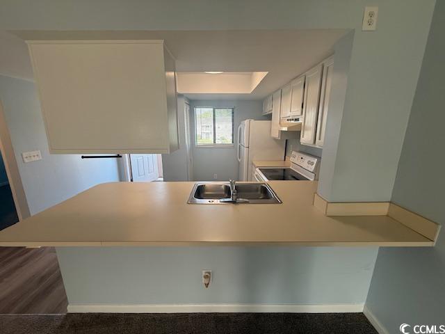 1101 2nd Avenue North, Unit 306 Surfside Beach, SC 29575 - Photo 3 of 15