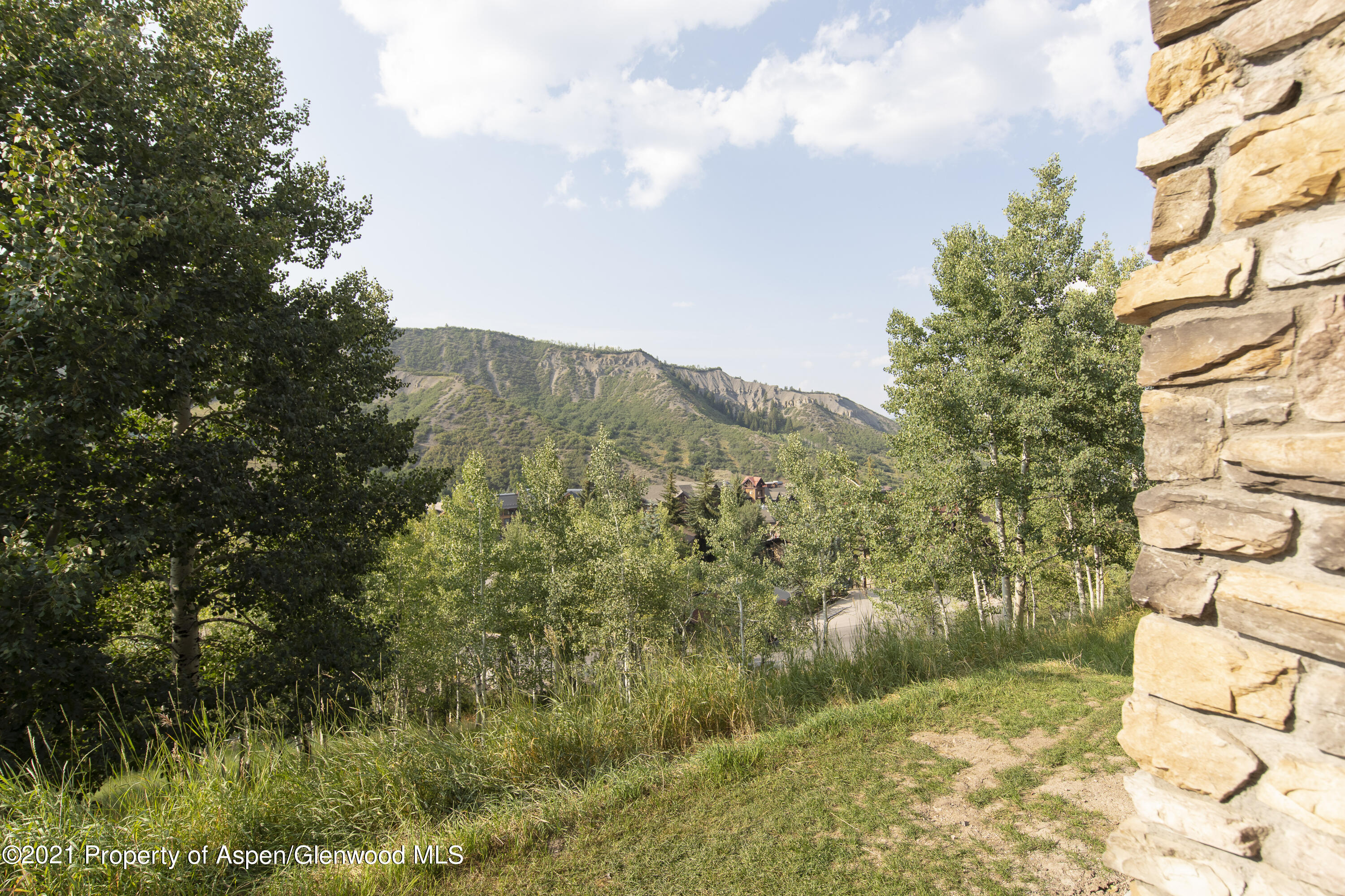 425 Wood Run Road, Unit 36 Snowmass Village, CO 81615 - Photo 22 of 23 a view of a yard