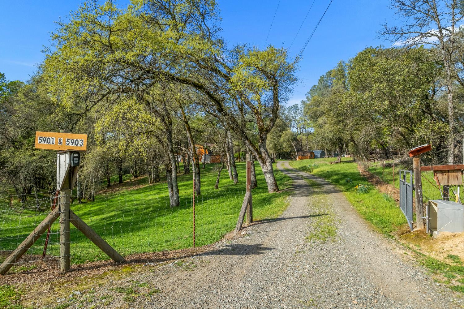 5901 Cerrito Road Diamond Springs, CA 95619 - Photo 3 of 61