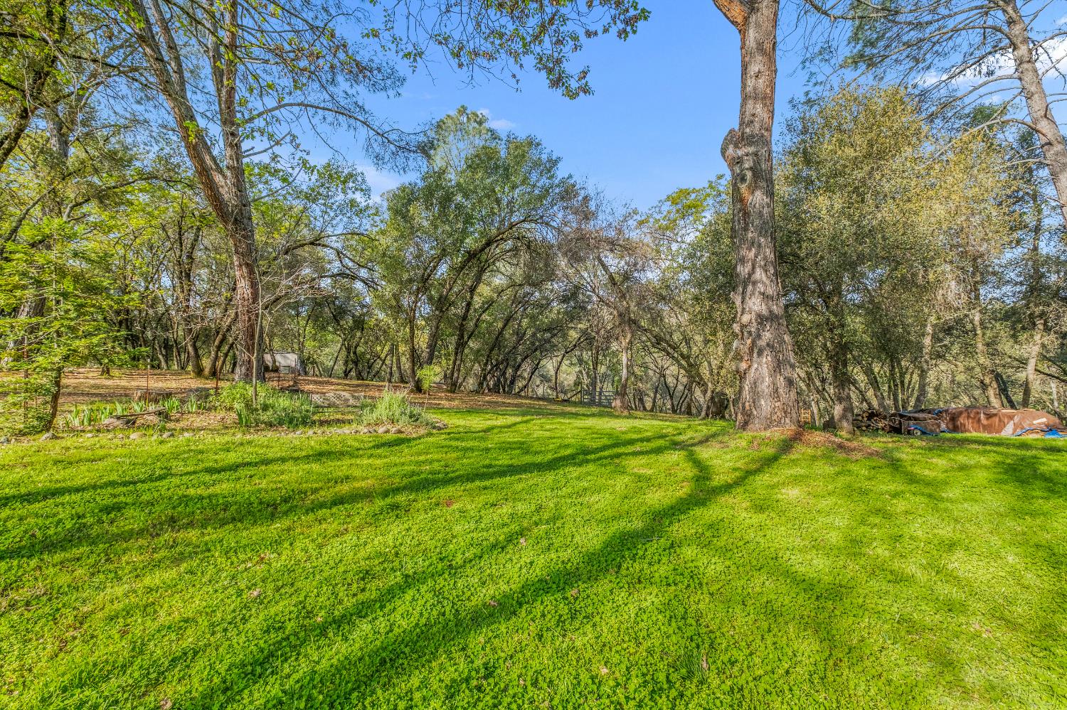 5901 Cerrito Road Diamond Springs, CA 95619 - Photo 58 of 61