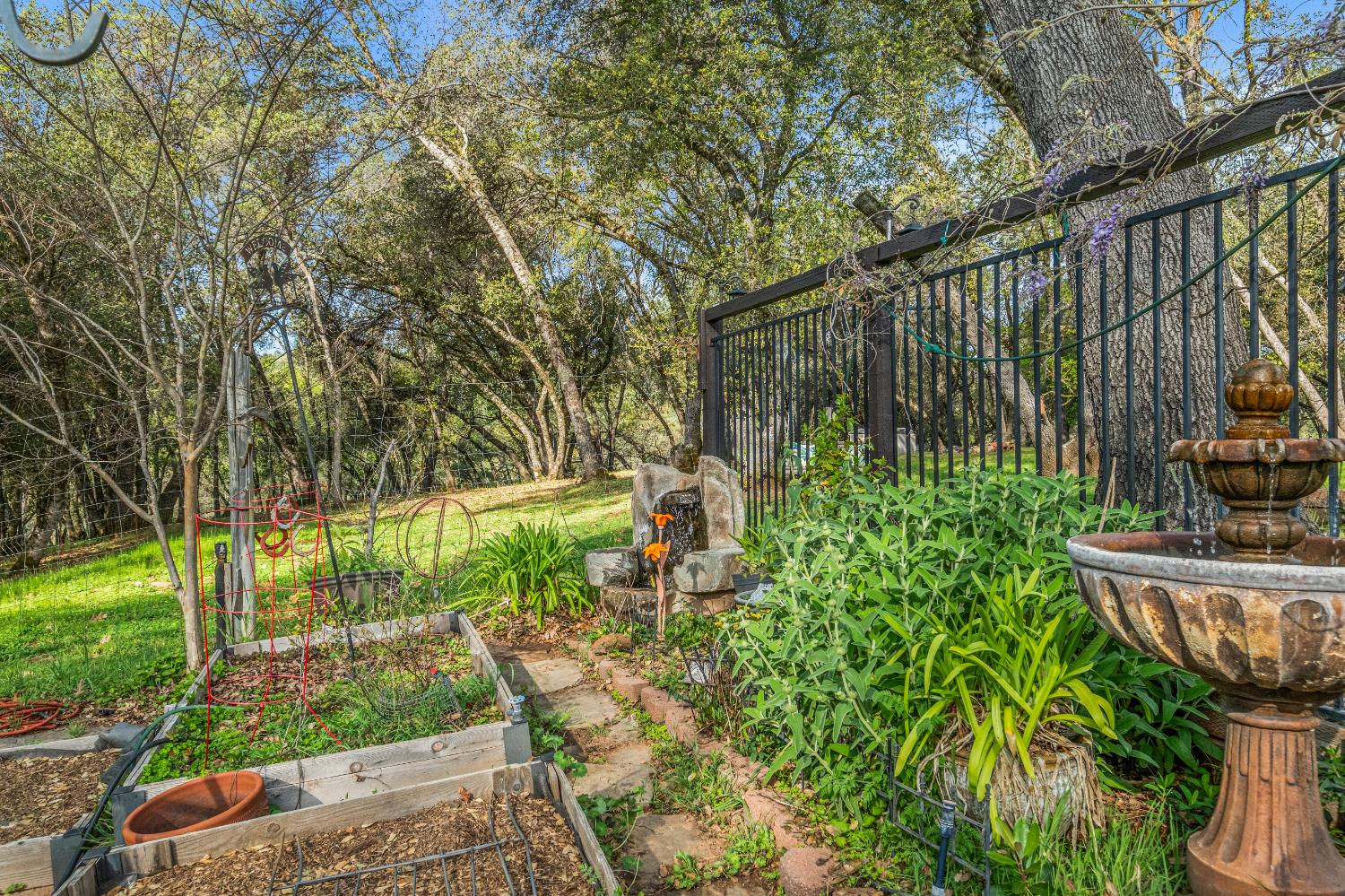 5901 Cerrito Road Diamond Springs, CA 95619 - Photo 59 of 61