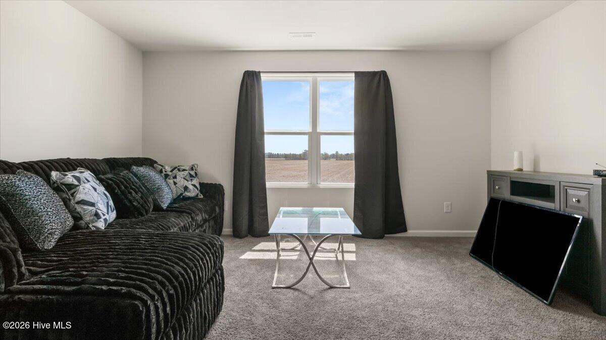 4373 Townsendville Road Maxton, NC 28364 - Photo 16 of 30 11-IMG_4823