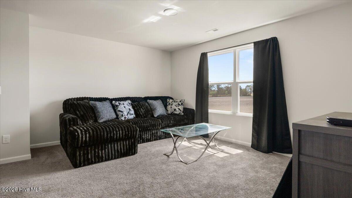 4373 Townsendville Road Maxton, NC 28364 - Photo 17 of 30 12-IMG_4829