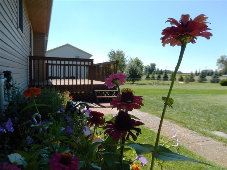 3172 Cobblestone Ridge Tecumseh, MI 49286 - Photo 10 of 10 Photo 10