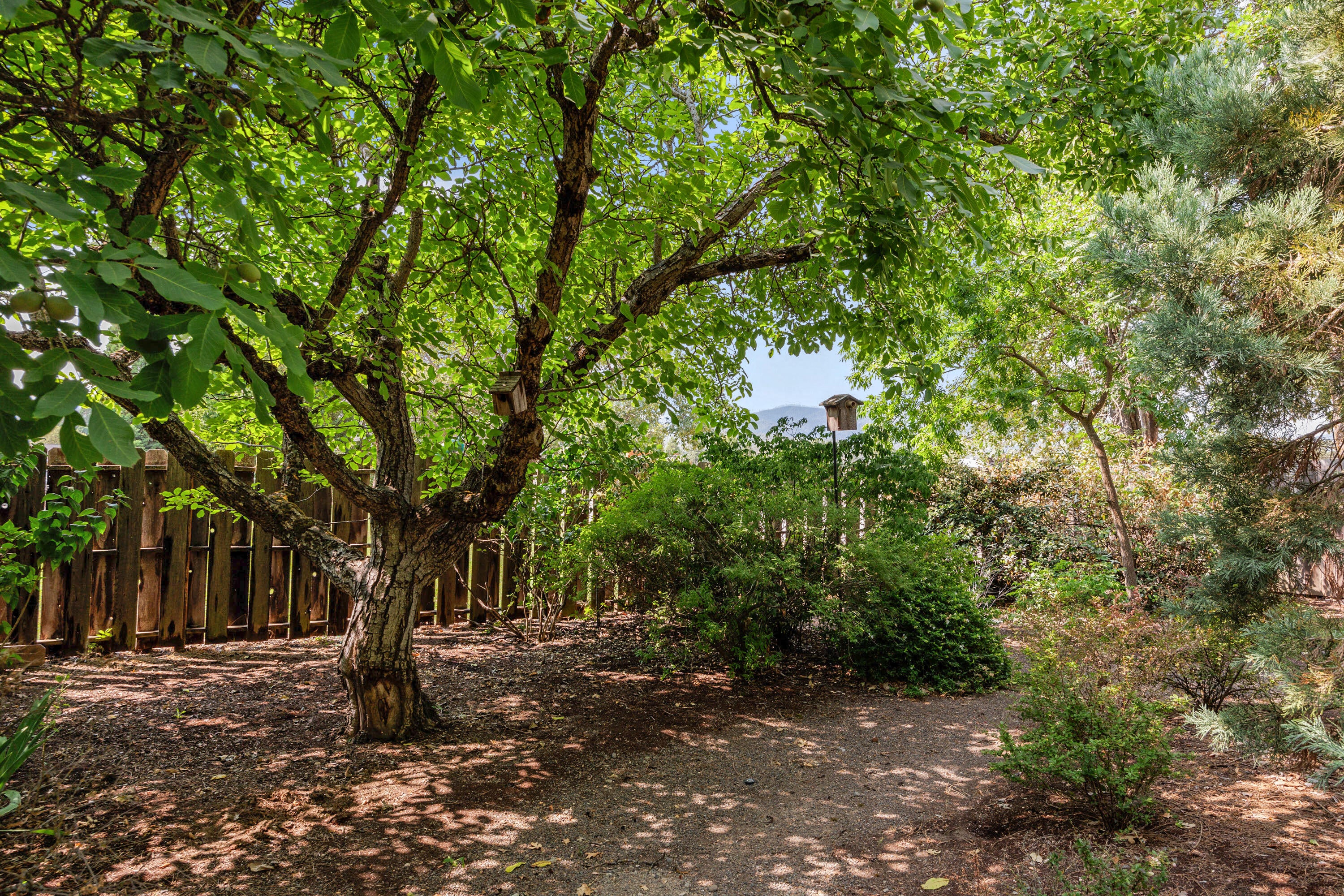 124 Walnut Place Phoenix, OR 97535 - Photo 47 of 56 APX_3404