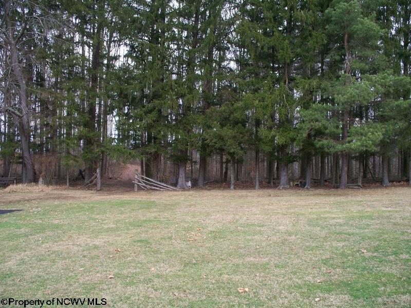 1061 Phillips Road Philippi, WV 26416 - Photo 5 of 20 Gallery Image 5