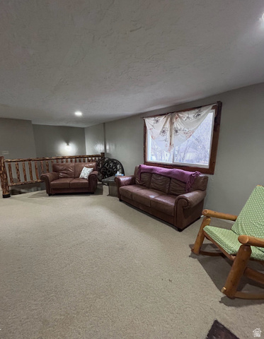 9 Miners Street Stockton, UT 84071 - Photo 10 of 26