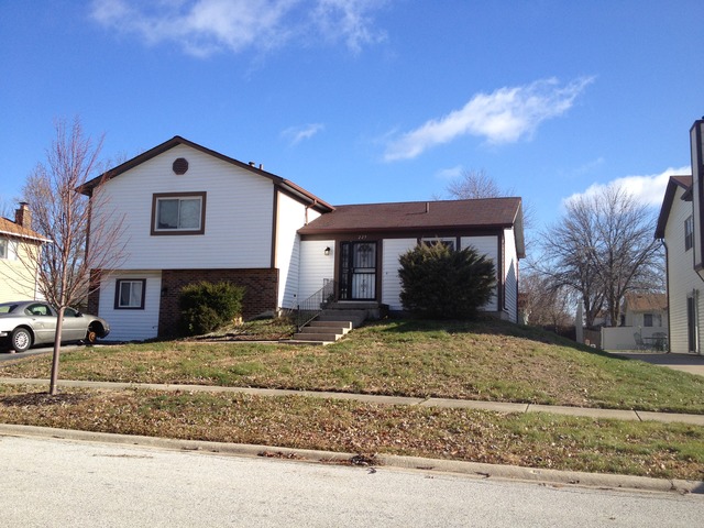229 Pheasant Road Matteson, IL 60443 - Photo 1 of 1