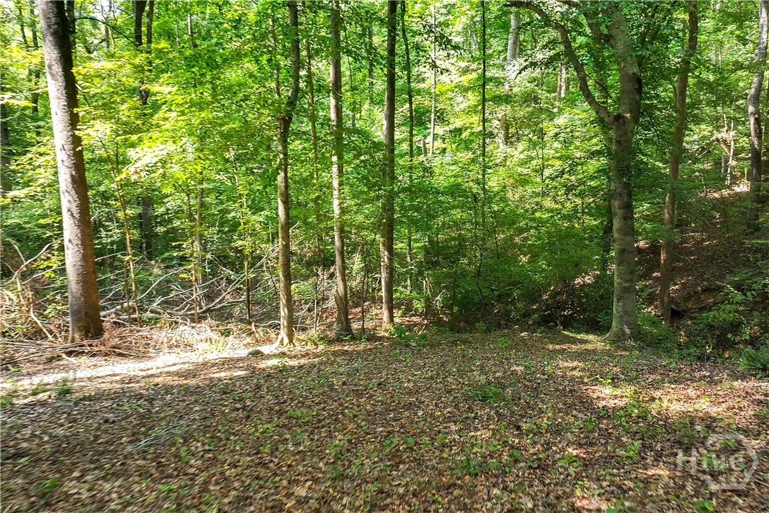 1580 Bob Godfrey Road Athens, GA 30605 - Photo 51 of 72