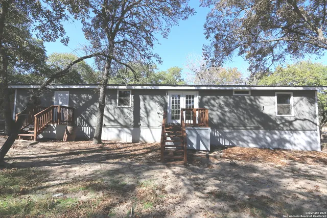 a view of backyard with a large tree