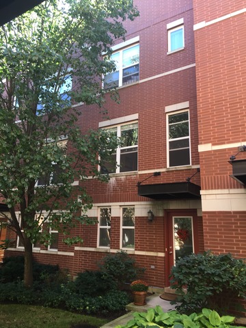 527 Chicago Avenue, Unit E Evanston, IL 60202 - Photo 1 of 20