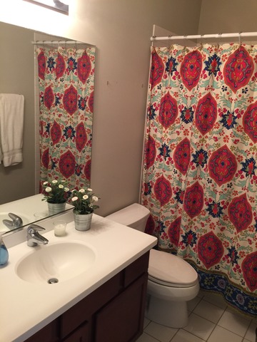 527 Chicago Avenue, Unit E Evanston, IL 60202 - Photo 12 of 20