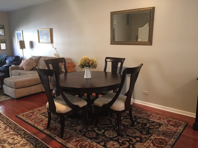 527 Chicago Avenue, Unit E Evanston, IL 60202 - Photo 3 of 20
