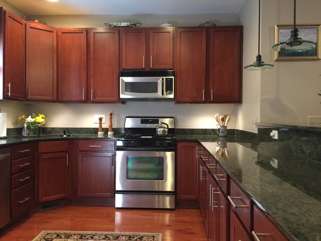 527 Chicago Avenue, Unit E Evanston, IL 60202 - Photo 4 of 20