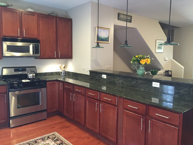527 Chicago Avenue, Unit E Evanston, IL 60202 - Photo 5 of 20