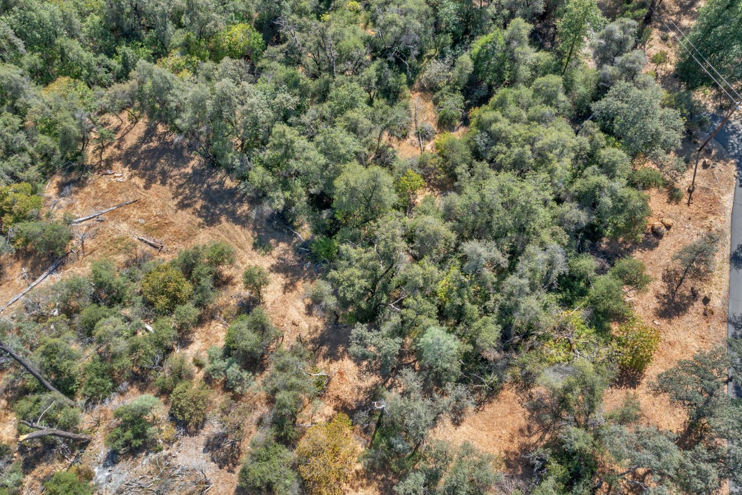0 Leaning Tree Road Placerville, CA 95667 - Photo 15 of 15