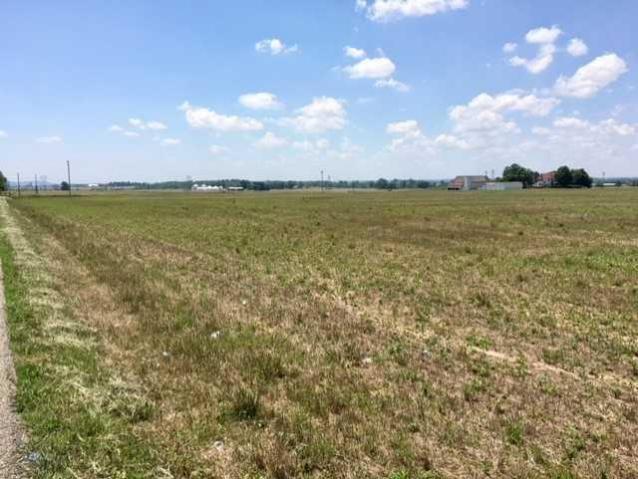 Lot 8 Gay-Dreisbach Road Circleville, OH 43113 - Photo 2 of 3