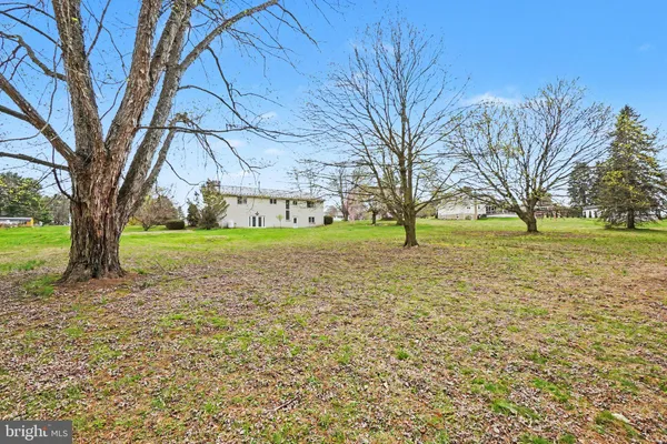 a view of outdoor space with trees all around