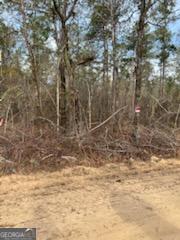0 Busby Road Statesboro, GA 30461 - Photo 3 of 9 a view of a dry yard