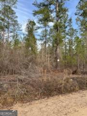 0 Busby Road Statesboro, GA 30461 - Photo 4 of 9 a view of a yard