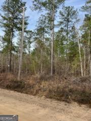 0 Busby Road Statesboro, GA 30461 - Photo 5 of 9 a view of a bathroom shower