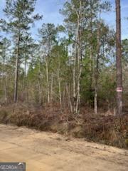 0 Busby Road Statesboro, GA 30461 - Photo 6 of 9 a view of a dry yard