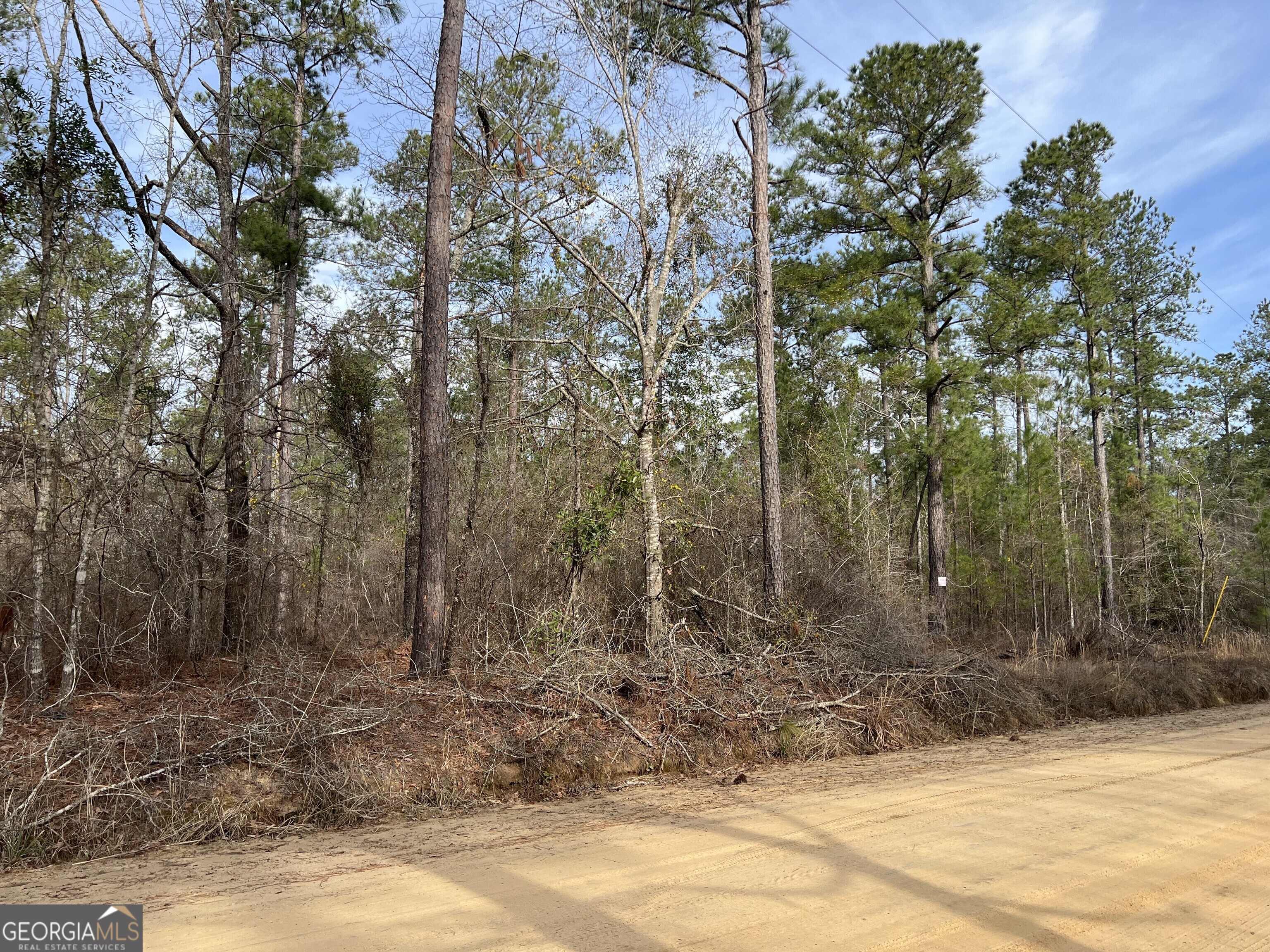 0 Busby Road Statesboro, GA 30461 - Photo 7 of 9 a view of a yard with trees
