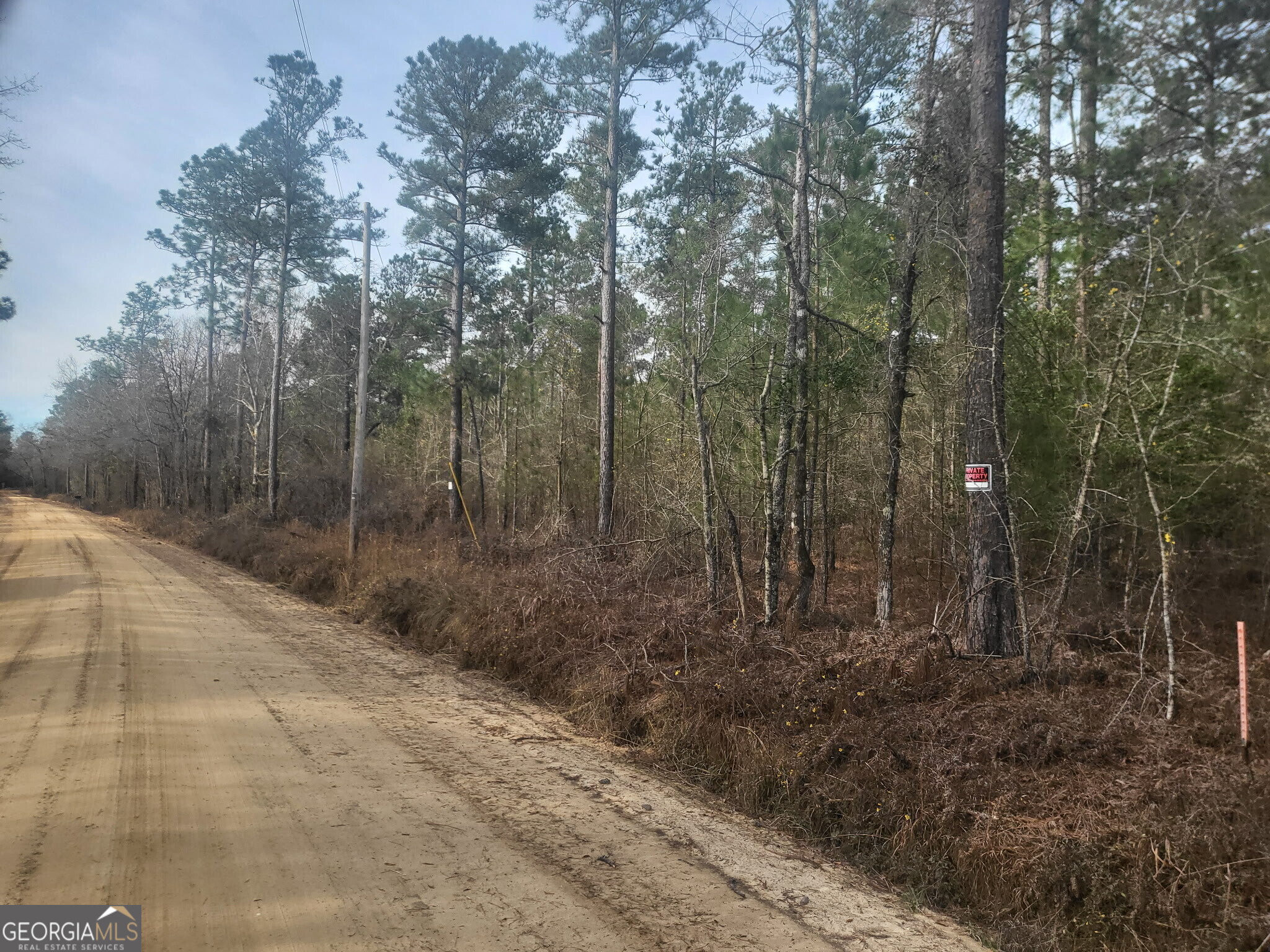 0 Busby Road Statesboro, GA 30461 - Photo 8 of 9 a view of a forest with trees in the background