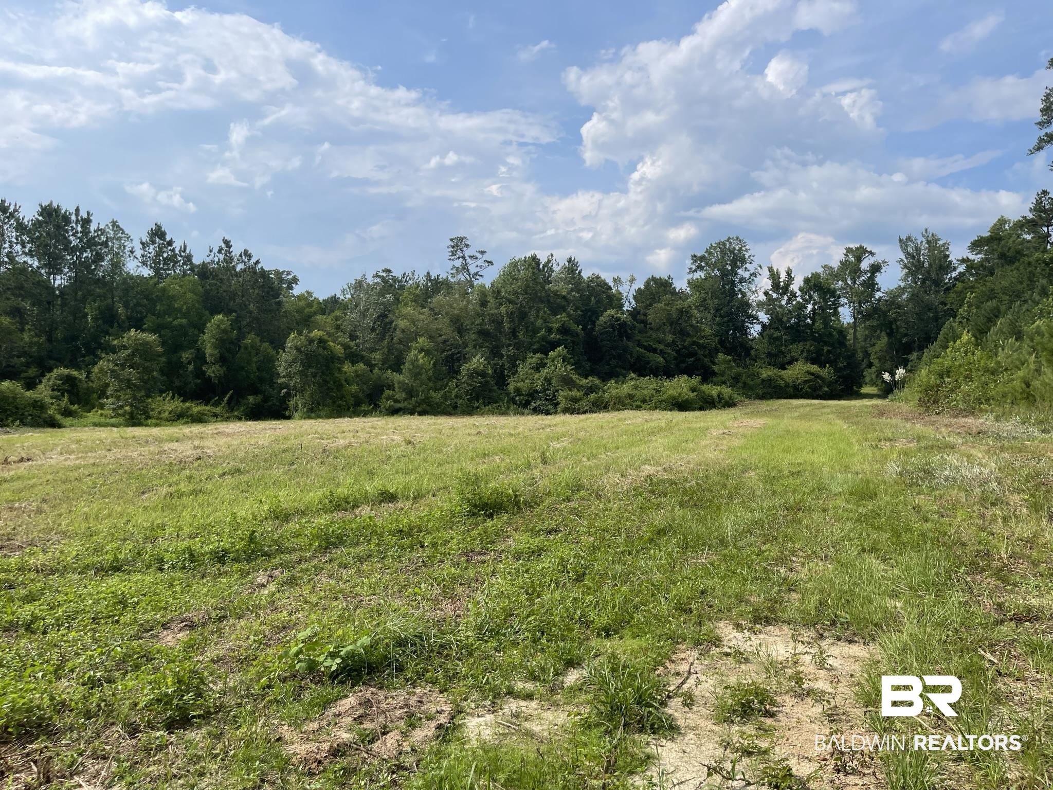 1 Highway 4 Jay, FL 32565 - Photo 30 of 50