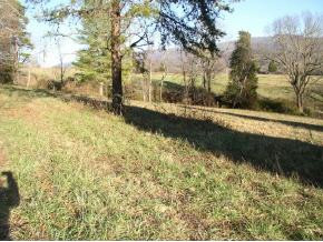 0 Carl Taylor Road, Unit 40 01 Elizabethton, TN 37643 - Photo 3 of 6 Photo 3