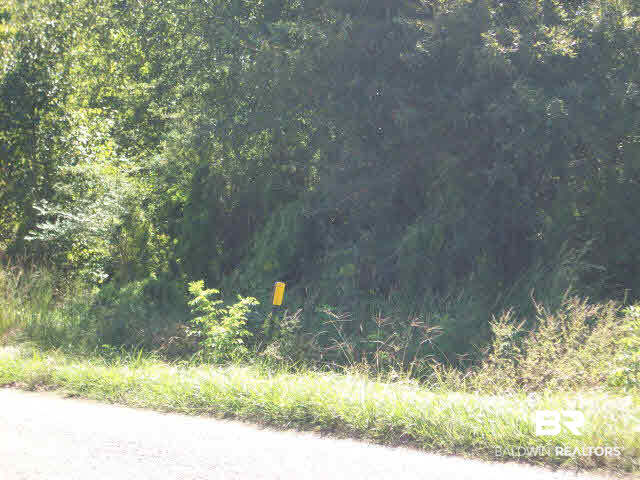 Lot 43 Woods Road Atmore, AL 36502 - Photo 3 of 8