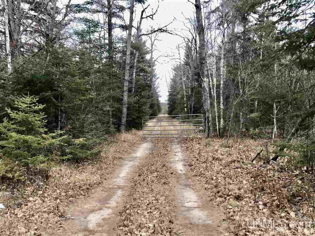 4194 South RR Road Manistique, MI 49854 - Photo 18 of 18 Gallery Image 18