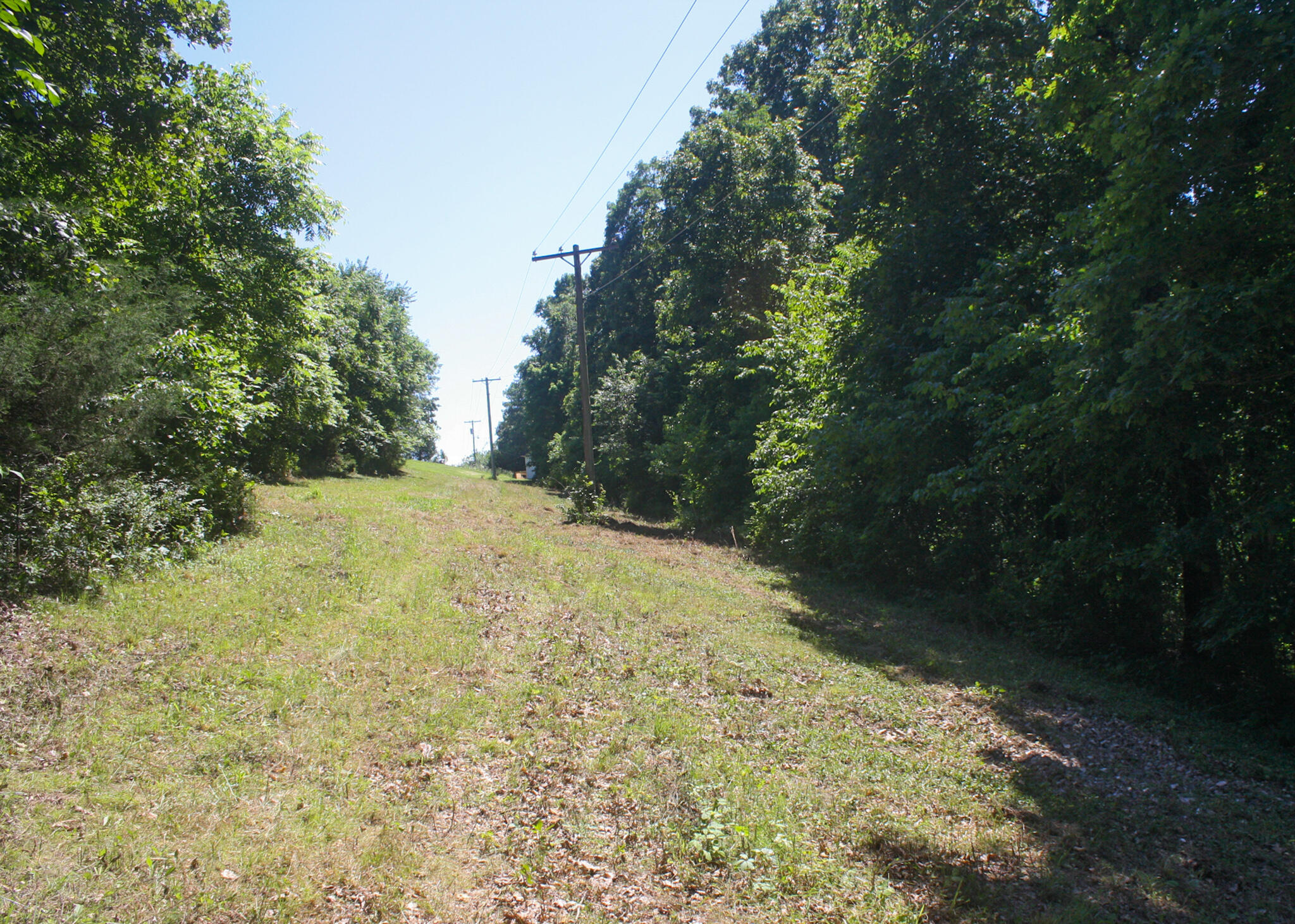 1526 Ozark Road Crane, MO 65633 - Photo 30 of 41 IMG_6837