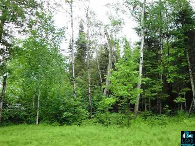 1771 Everett Bay Road Tower, MN 55790 - Photo 5 of 6 Gallery Image 5