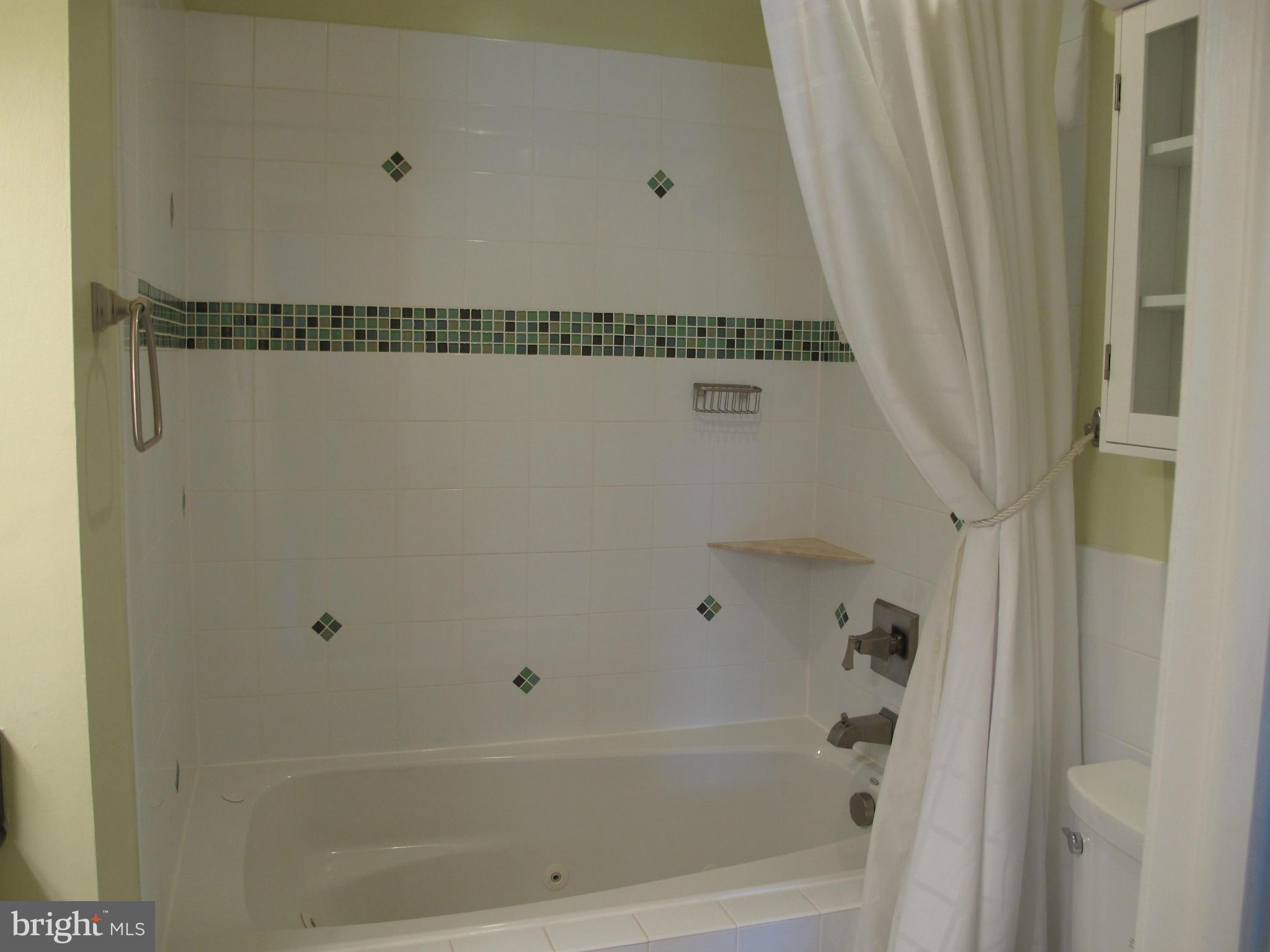 7726 Asterella Court Springfield, VA 22152 - Photo 15 of 22 a bathroom with a shower