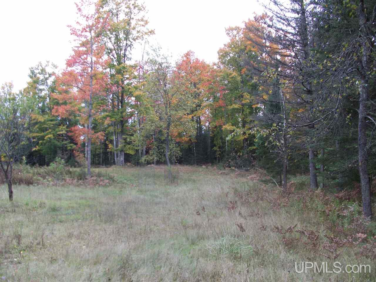 3080 Co Road Cornell, MI 49818 - Photo 15 of 15