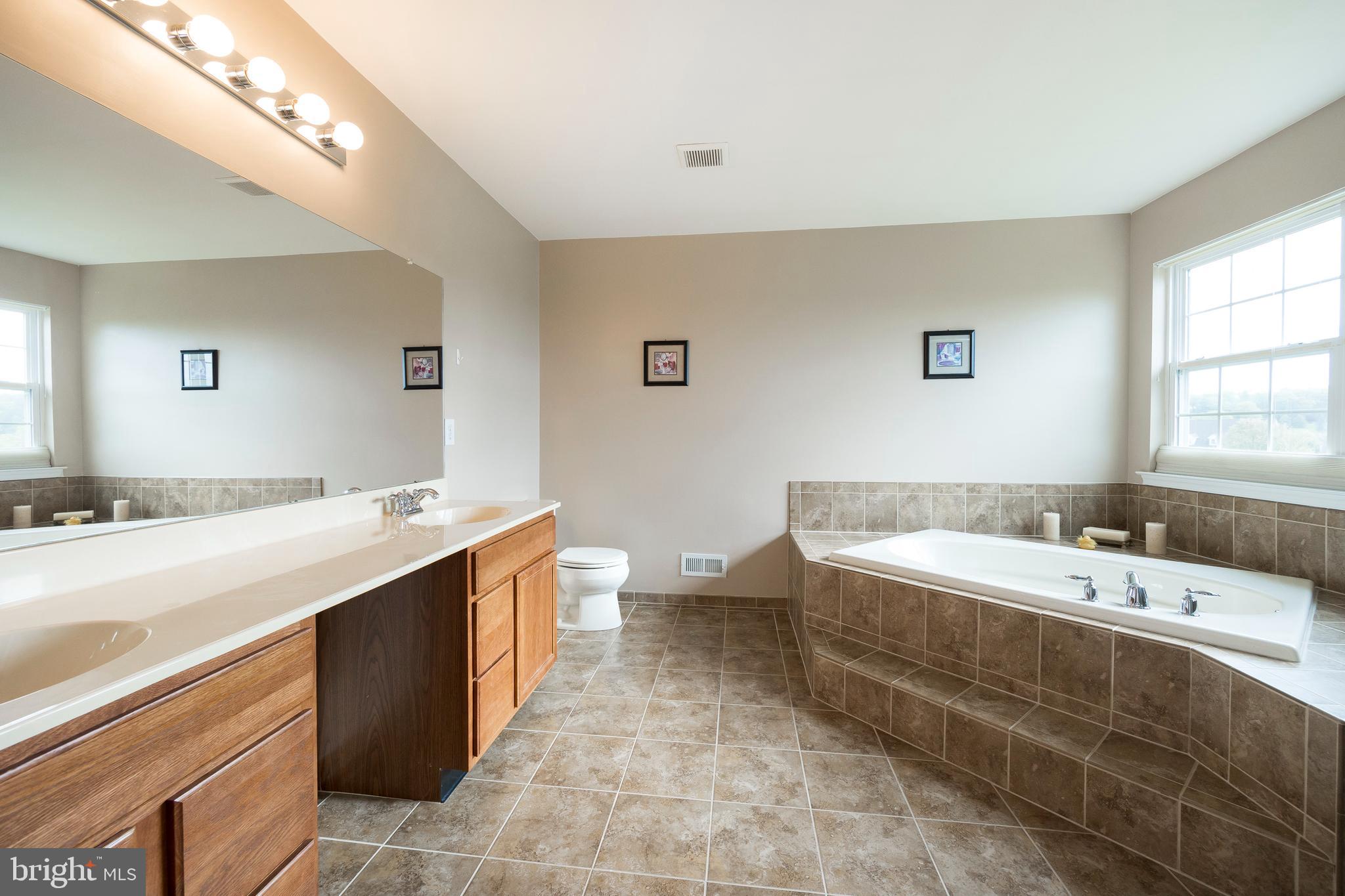 1002 Circle Court Pottstown, PA 19465 - Photo 31 of 46 Primary Bathroom