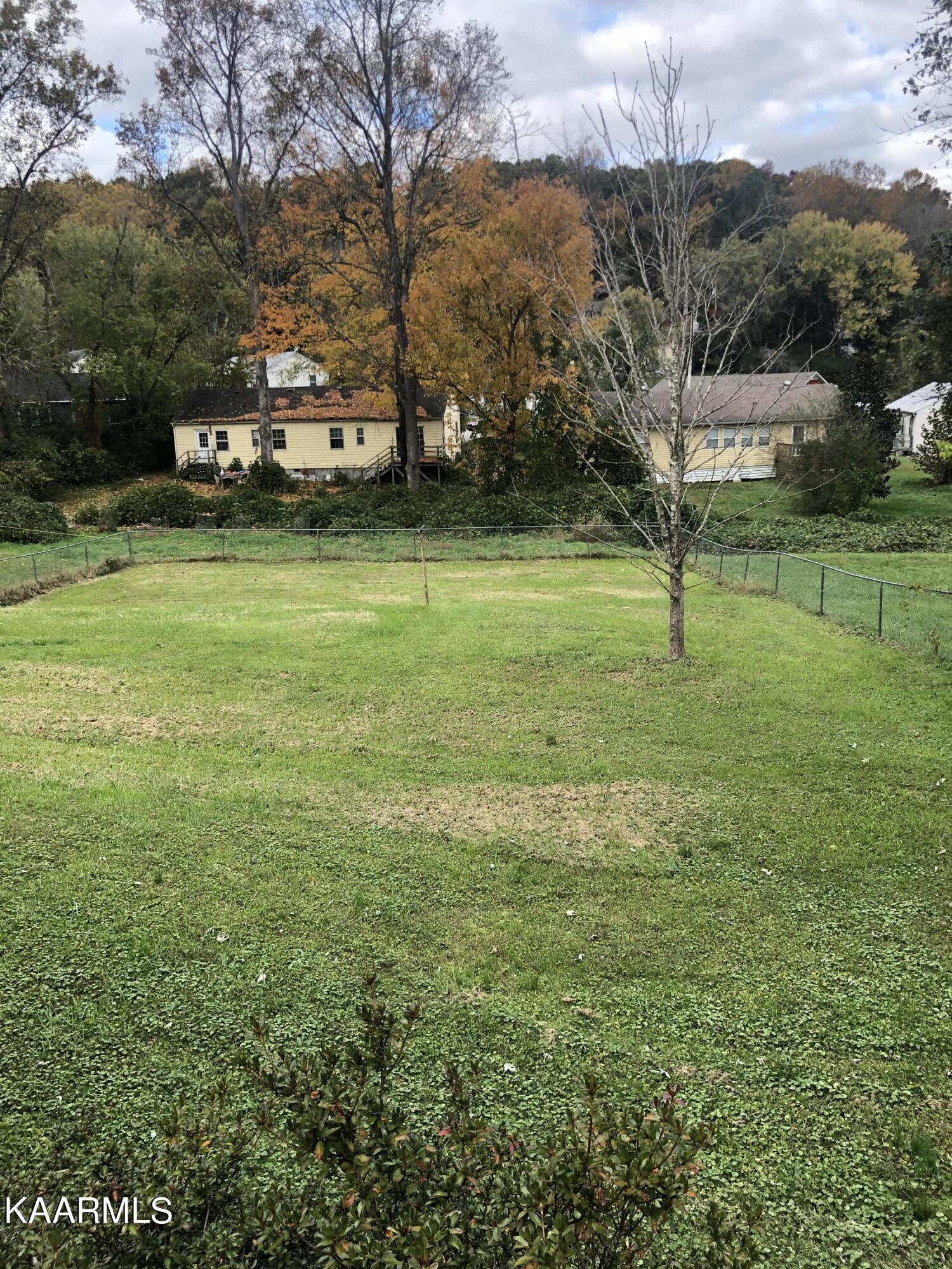 246 Jefferson Avenue Oak Ridge, TN 37830 - Photo 11 of 25 Huge Back Yard IMG_3090