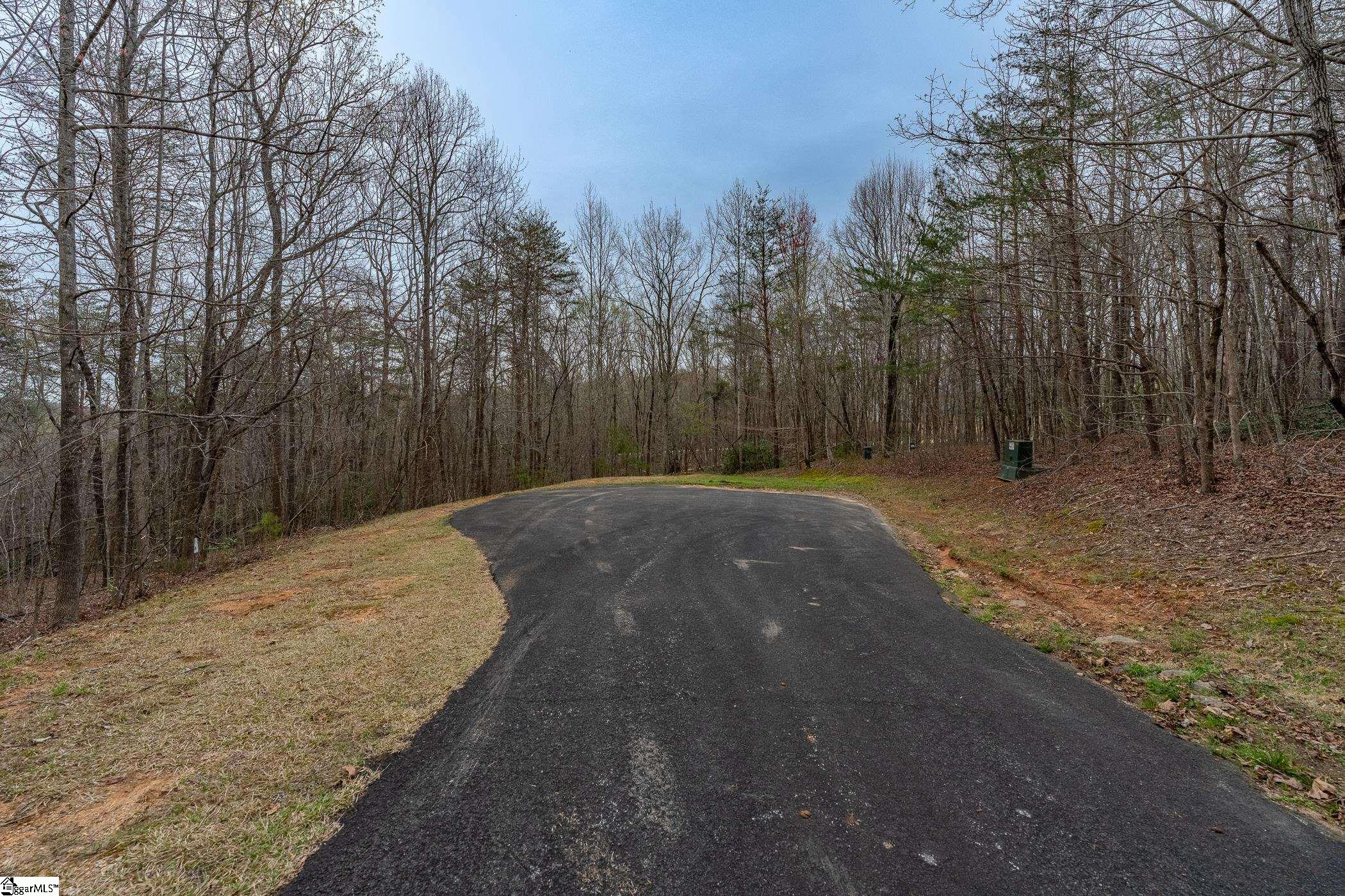 56 Angleblade Road Landrum, SC 29356 - Photo 1 of 11