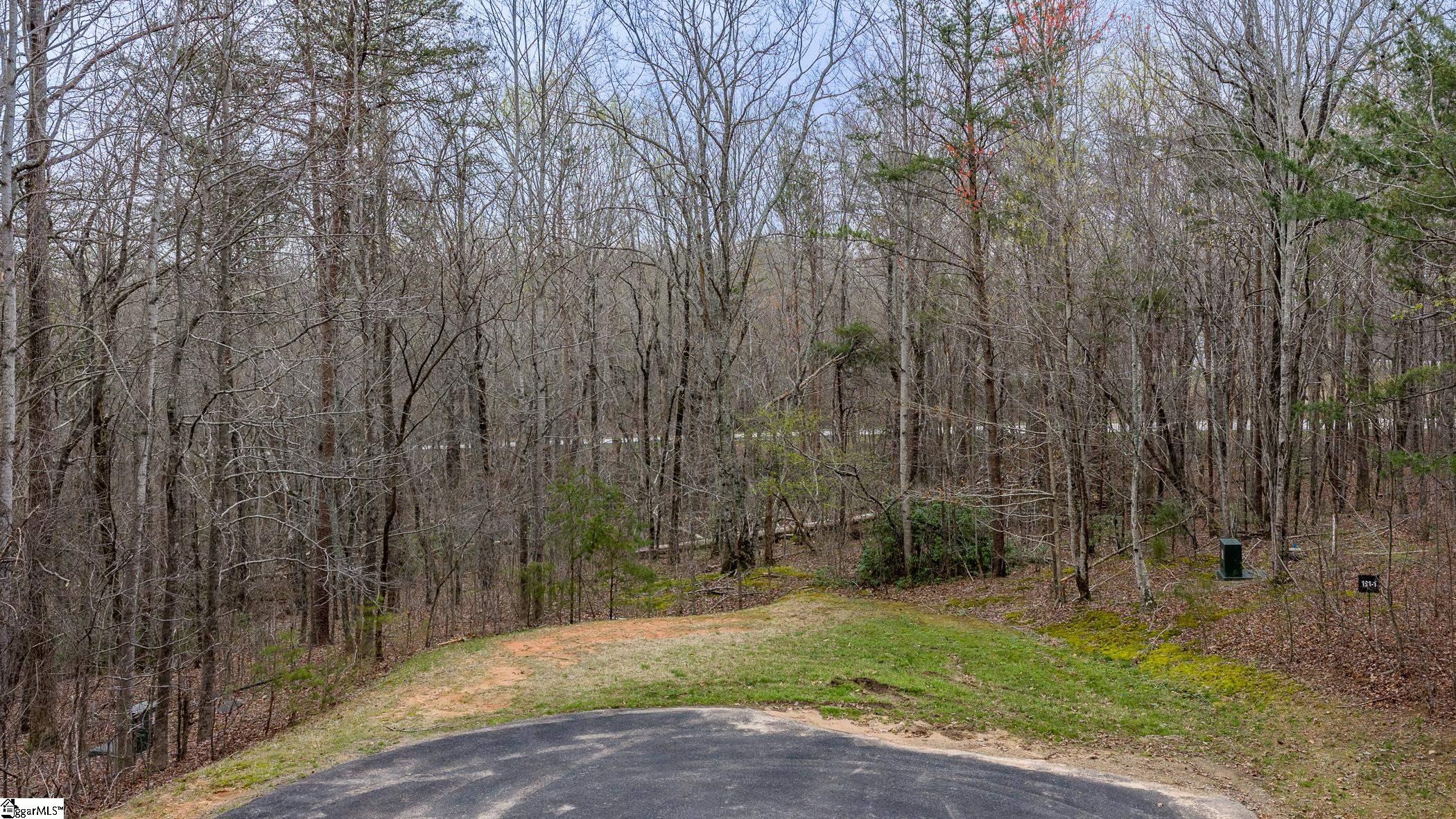 56 Angleblade Road Landrum, SC 29356 - Photo 2 of 11