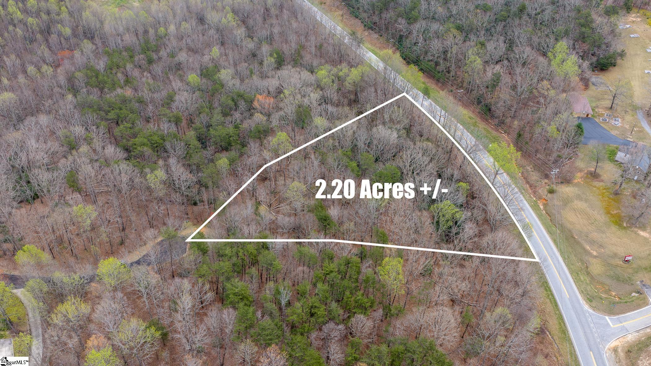 56 Angleblade Road Landrum, SC 29356 - Photo 3 of 11
