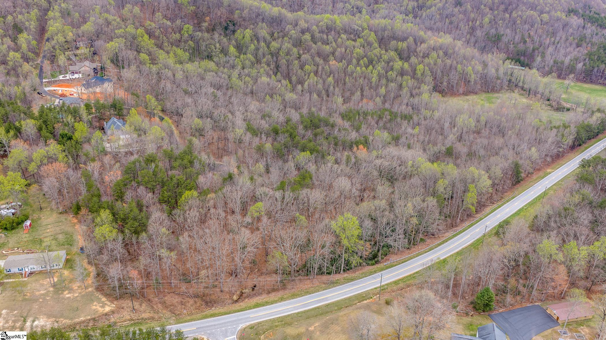 56 Angleblade Road Landrum, SC 29356 - Photo 4 of 11