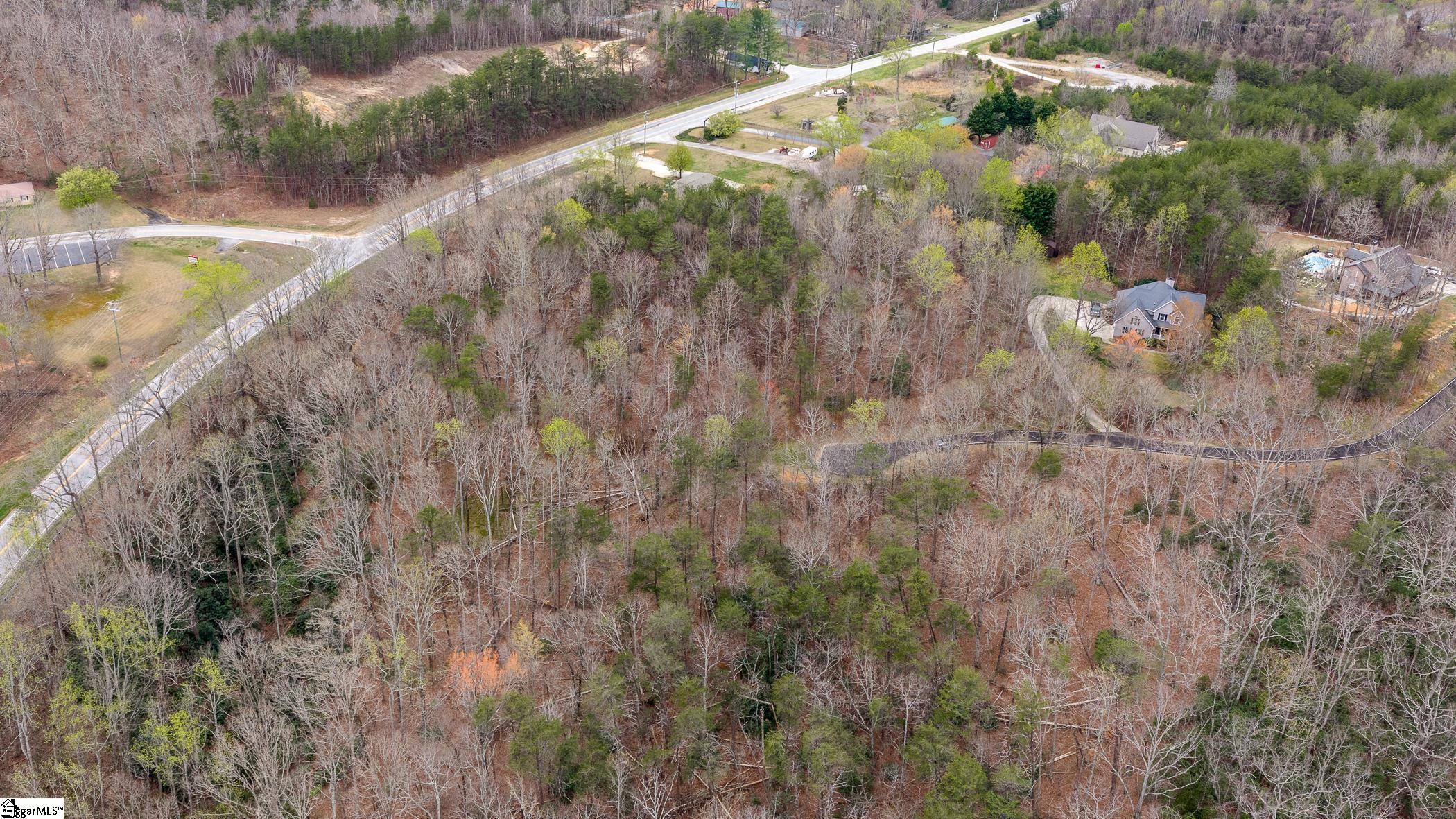 56 Angleblade Road Landrum, SC 29356 - Photo 6 of 11