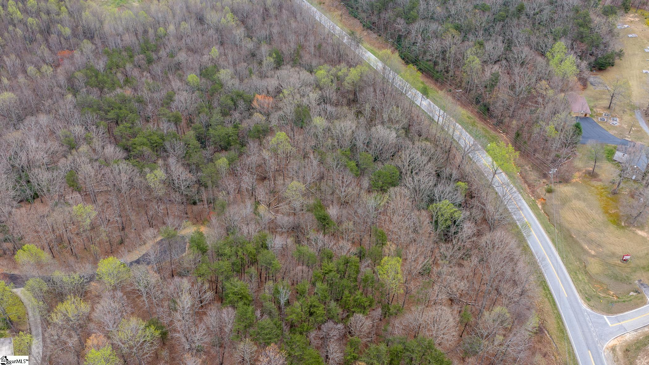56 Angleblade Road Landrum, SC 29356 - Photo 8 of 11